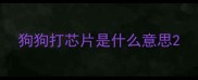 狗狗打芯片是什么意思