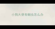 小狗大便有蛔虫怎么办