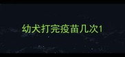 幼犬打完疫苗几次