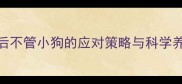 母狗产后不管小狗的应对策略与科学养护指南
