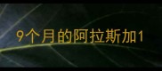 9个月的阿拉斯加
