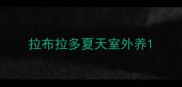 拉布拉多夏天室外养