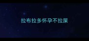 拉布拉多怀孕不拉屎