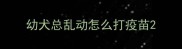 幼犬总乱动怎么打疫苗