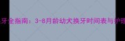 宠物换牙全指南3-8月龄幼犬换牙时间表与护理要点