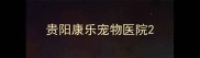 贵阳康乐宠物医院