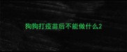 狗狗打疫苗后不能做什么
