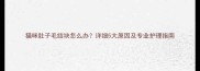猫咪肚子毛结块怎么办详细5大原因及专业护理指南