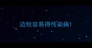 边牧容易得传染病