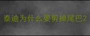 泰迪为什么要剪掉尾巴