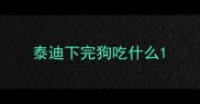 泰迪下完狗吃什么