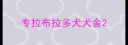 专拉布拉多犬犬舍
