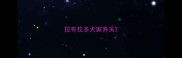 拉布拉多犬家养关