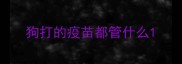 狗打的疫苗都管什么