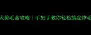泰迪犬剪毛全攻略手把手教你轻松搞定炸毛星人