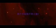 两个月母狗不停小便