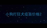 小狗打狂犬疫苗价格