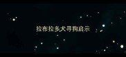 拉布拉多犬寻狗启示