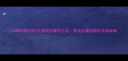 小狗半夜吐的7大原因及解决方法养宠必看的呕吐急救指南