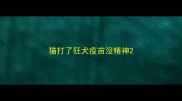 猫打了狂犬疫苗没精神