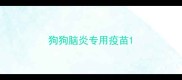 狗狗脑炎专用疫苗