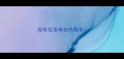 拉布拉多有白色胸毛