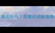 五个月东德牧羊犬体重达标吗东德幼犬标准体重表及科学饲养指南