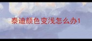 泰迪颜色变浅怎么办