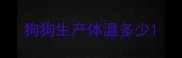 狗狗生产体温多少
