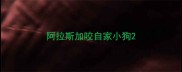 阿拉斯加咬自家小狗
