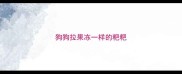 狗狗拉果冻一样的粑粑