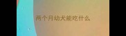 两个月幼犬能吃什么