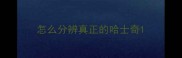 怎么分辨真正的哈士奇