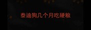 泰迪狗几个月吃硬粮
