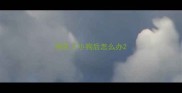 狗生了小狗后怎么办