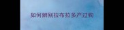 如何辨别拉布拉多产过狗