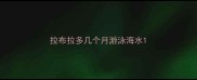 拉布拉多几个月游泳海水