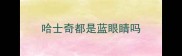 哈士奇都是蓝眼睛吗