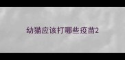 幼猫应该打哪些疫苗