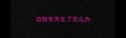 边牧冬天生了怎么办