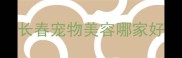 长春宠物美容哪家好