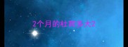 2个月的杜宾多大