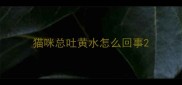 猫咪总吐黄水怎么回事
