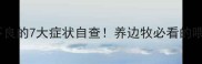 边牧营养不良的7大症状自查养边牧必看的喂养指南