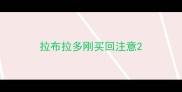 拉布拉多刚买回注意