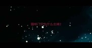 猫咪门牙为什么会掉