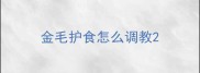 金毛护食怎么调教