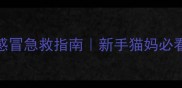 两个月大猫咪感冒急救指南新手猫妈必看护理全攻略