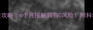 孕期养狗全攻略6个月接触狗狗0风险附科学养护指南