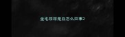 金毛尿尿是血怎么回事